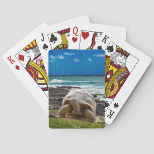 Jeu De Cartes Grande tortue au bord de l'eau