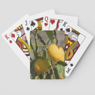 Jeu De Cartes Graphiques Citron Espagnol