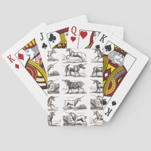 Jeu De Cartes Gravure de licorne antique spécimen de zoologie vi