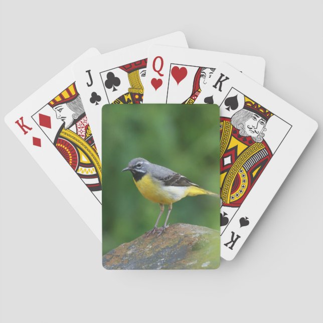 Jeu De Cartes Gray Wagtail - oiseau (dos)