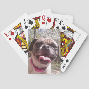 Jeu De Cartes Greedo's Mother Ken Gage Photographie Chien