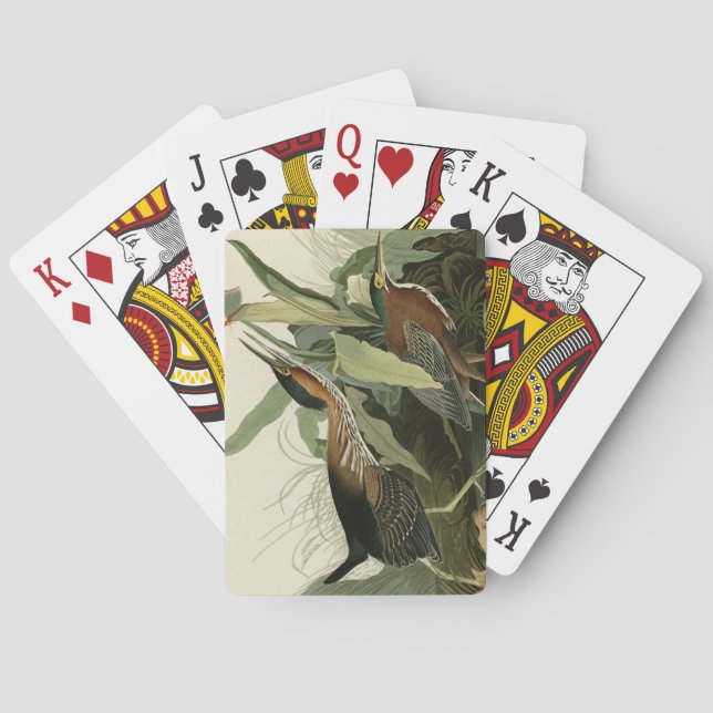 Jeu De Cartes Green Heron, les oiseaux d'Amérique de John James  (dos)