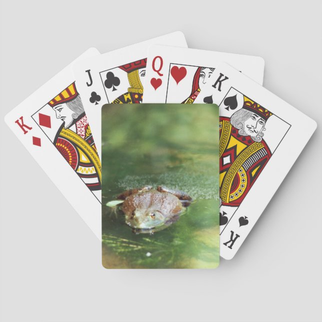 Jeu De Cartes Grenouille (dos)