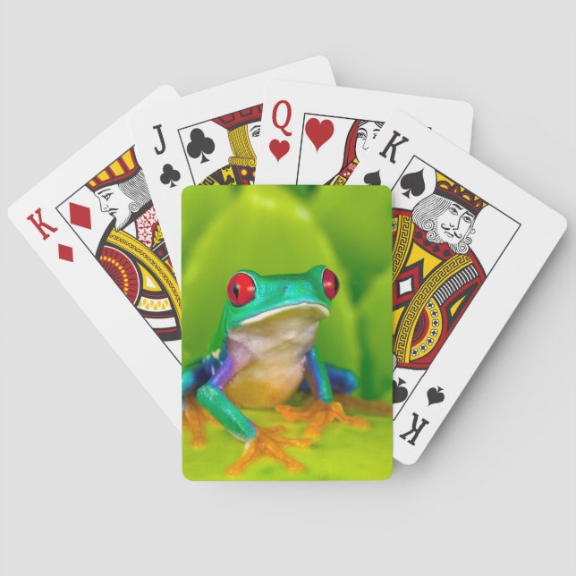 Jeu De Cartes Grenouille aux yeux rouges, Costa Rica (dos)