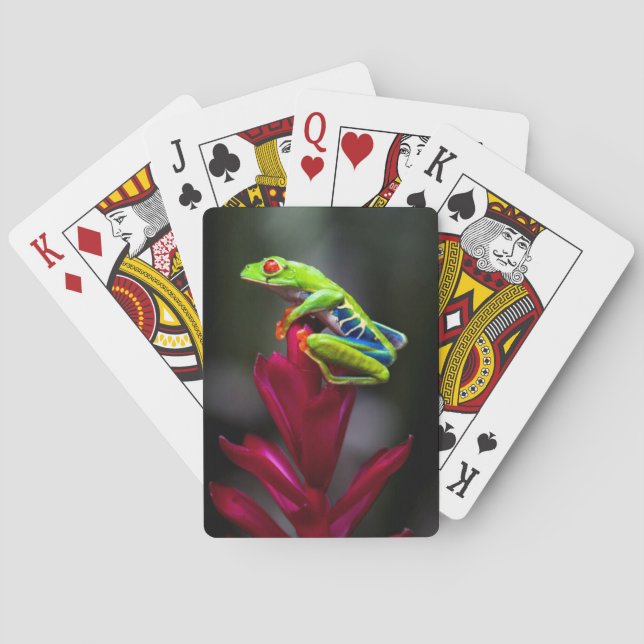 Jeu De Cartes Grenouille d'arbre aux yeux rouges (dos)