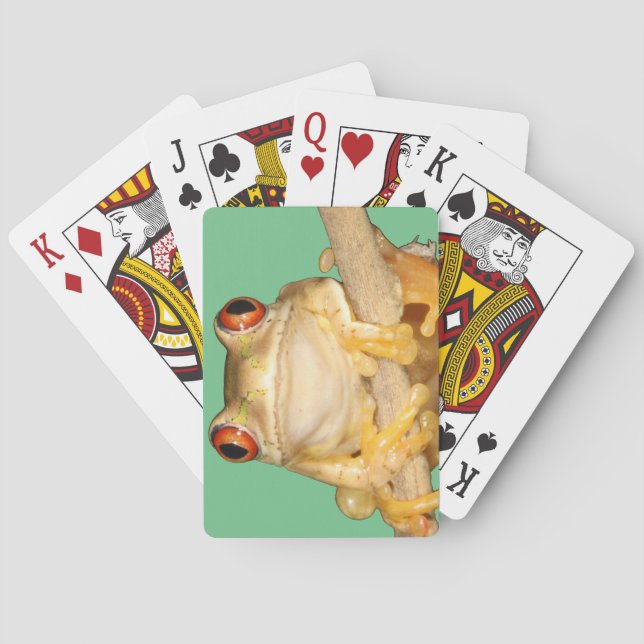 Jeu De Cartes Grenouille des arbres (dos)