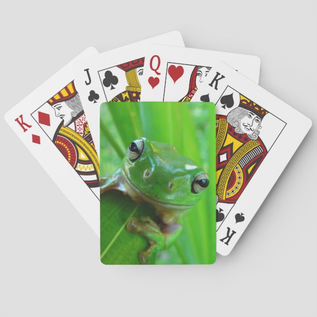 Jeu De Cartes Grenouille verte Cartes de jeu (dos)