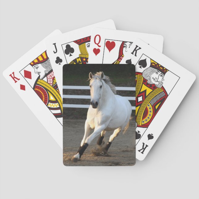Jeu De Cartes Grey Lusitano chez Liberty Playing Cards (dos)