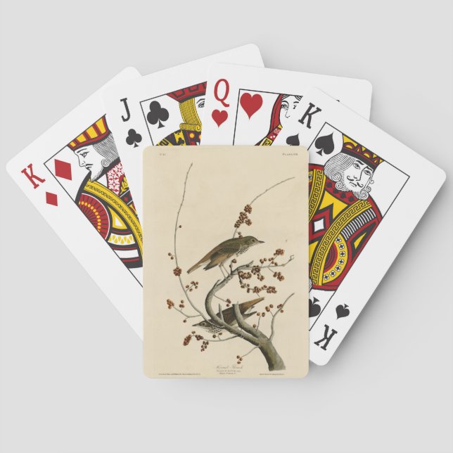 Jeu De Cartes Grive d'ermite des oiseaux d'Amérique d'Audubon (dos)