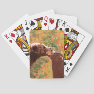 Jeu De Cartes Grizzly Bear Mom and Cub Painting - Wildlife Art