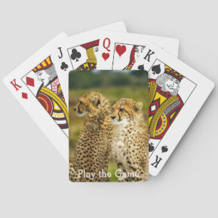 Jeu De Cartes Gros plan Cheetah