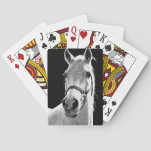 Jeu De Cartes Gros plan Cheval blanc noir en nuit