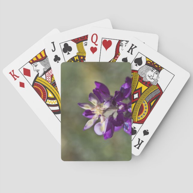 Jeu De Cartes Gros plan de Lupine (dos)