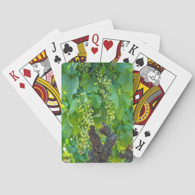 Jeu De Cartes Gros plan de raisins en maturation (dos)
