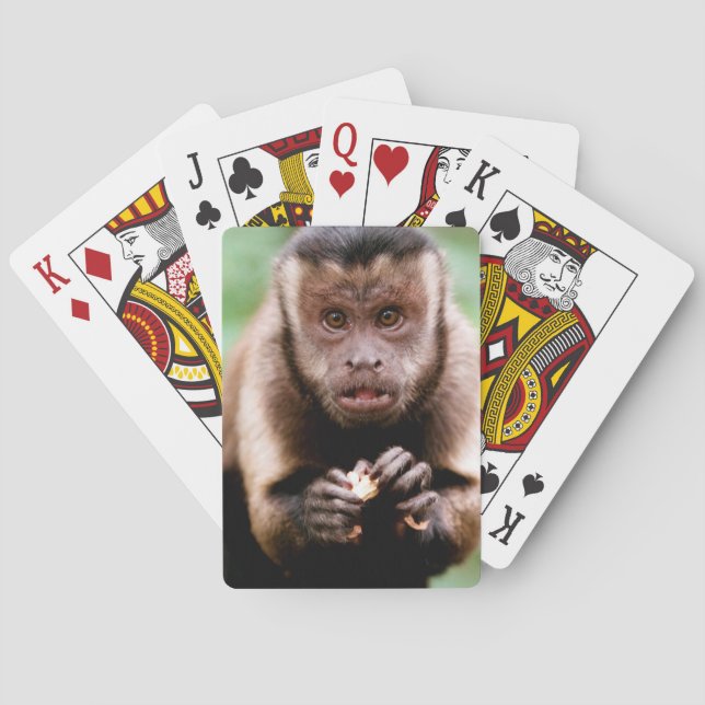 Jeu De Cartes Gros plan d'un singe capucin à tête noire (dos)