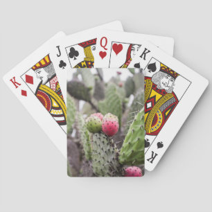 Jeu De Cartes Gros plan sur le cactus figuier de Barbarie