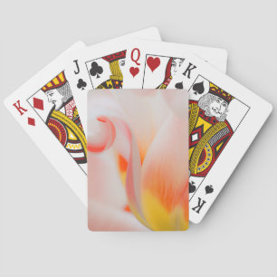 Jeu De Cartes Gros plan sur tulipe 3