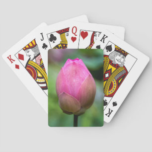 Jeu De Cartes Gros plan sur un bouton de fleur de lotus, Bali