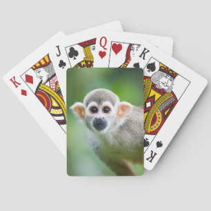 Jeu De Cartes Gros plan sur un singe écureuil commun