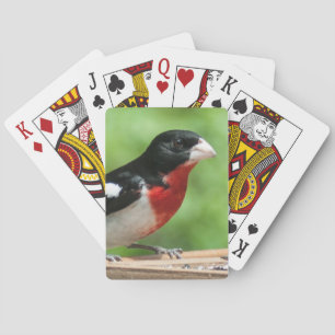 Jeu De Cartes Grosbeak à poitrine rose