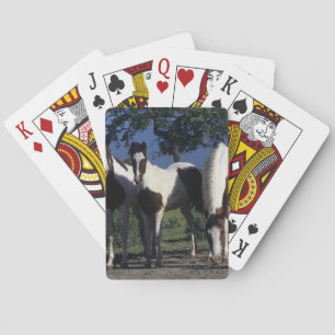 Jeu De Cartes Groupe de Chevaux de Peinture