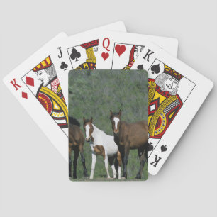 Jeu De Cartes Groupe de chevaux sauvages Mustang