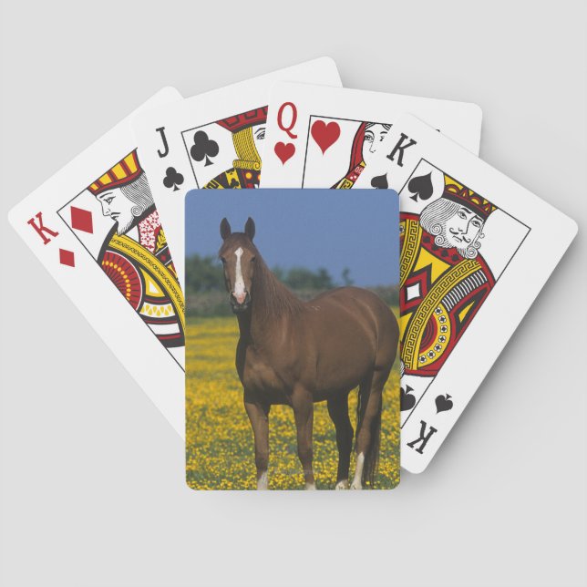 Jeu De Cartes Groupe de Thoroughbred (dos)