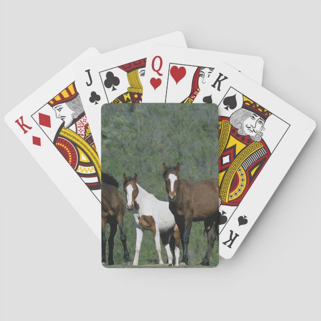Jeu De Cartes Groupe de Wild Mustang Horses (dos)