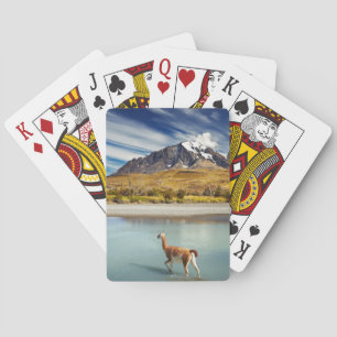 Jeu De Cartes Guanaco traversant la rivière à Torres del Paine