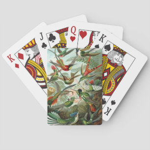 Jeu De Cartes Haeckel