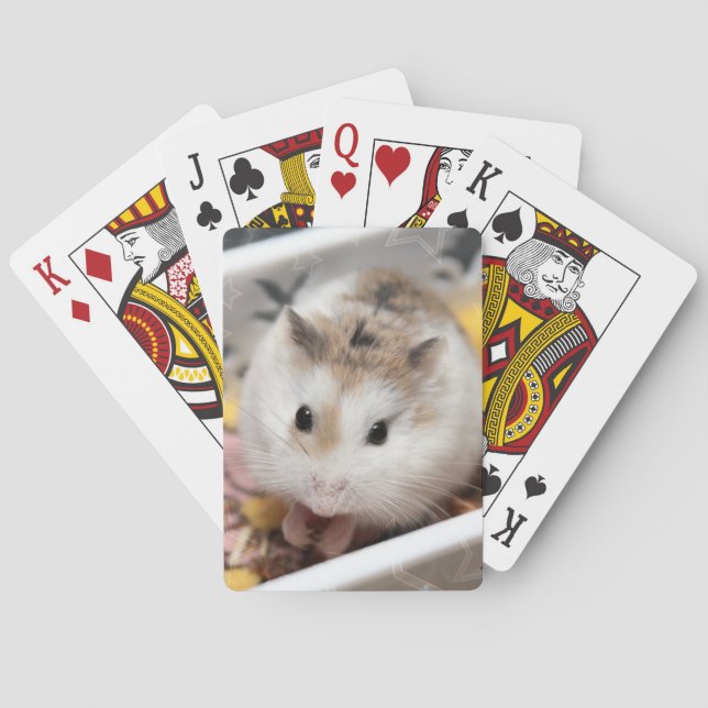 Jeu De Cartes Hammyville - Cute Hamster (dos)