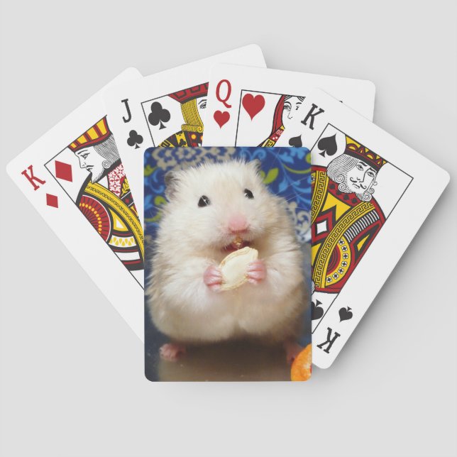 Jeu De Cartes Hamster syrien en mousse Kokolinka (dos)