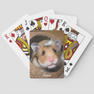 Jeu De Cartes Hamster Syrien Pour Animaux - Hamster Standard - O