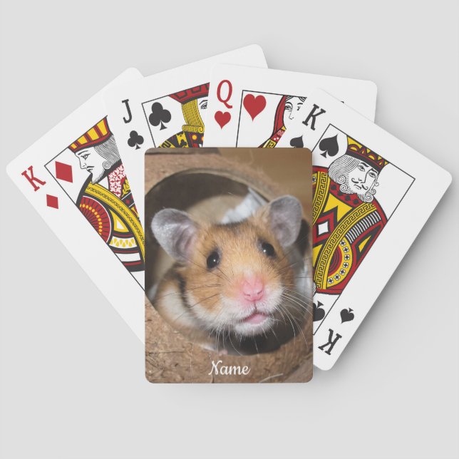 Jeu De Cartes Hamster Syrien Pour Animaux - Hamster Standard - O (dos)