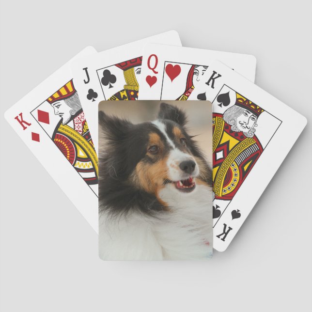 Jeu De Cartes Happy Shelty (dos)