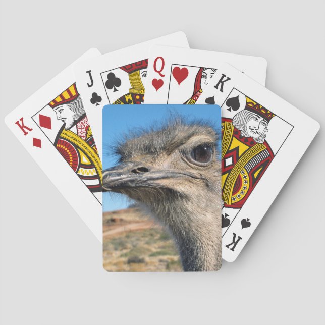 Jeu De Cartes Harry the Happy Ostrich (dos)