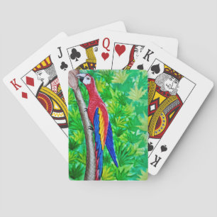 Jeu De Cartes Hé, il y a un Ara rouge dans cet arbre !
