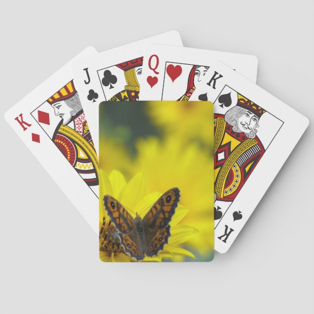 Jeu De Cartes Hélénium de marguerite jaune (dos)
