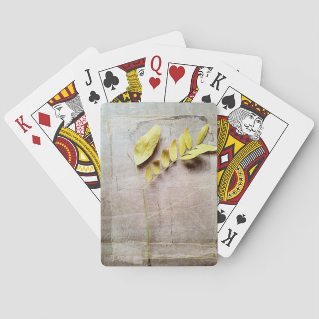 Jeu De Cartes Herbarium V (dos)