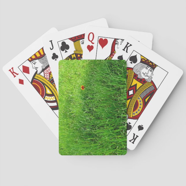 Jeu De Cartes Herbe Verte (dos)