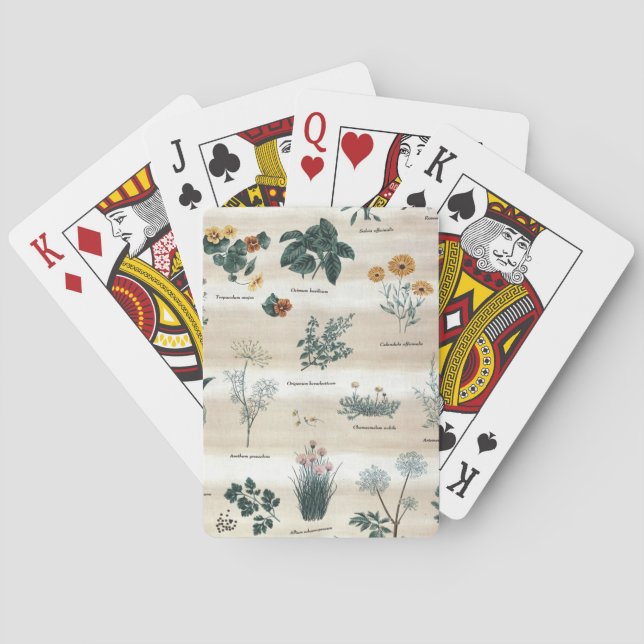 Jeu De Cartes Herbes Fleurs Plantes (dos)