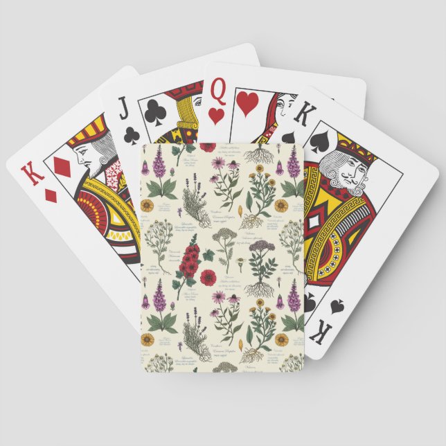 Jeu De Cartes Herbier de jardin médicinal sur fond blanc cassé (dos)