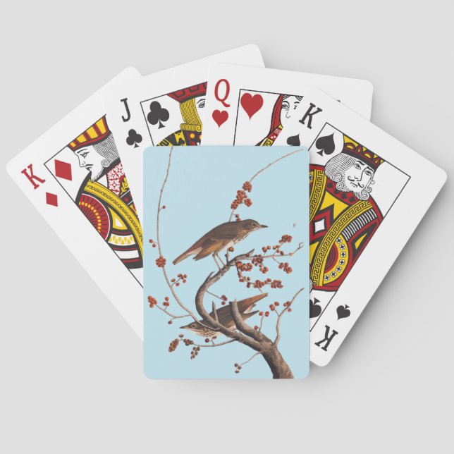 Jeu De Cartes Hermite Grive Audubon Oiseau aux baies rouges (dos)
