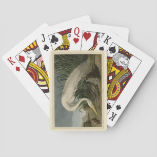 Jeu De Cartes Héron blanc, Grandes aigrettes, Oiseaux d'Amérique