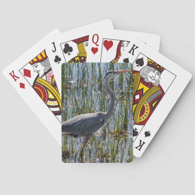 Jeu De Cartes Heron Oiseau Closeup Marsh Photographie (dos)