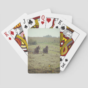 Jeu De Cartes Heure de péage