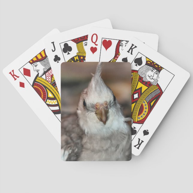 Jeu De Cartes Hi there (dos)