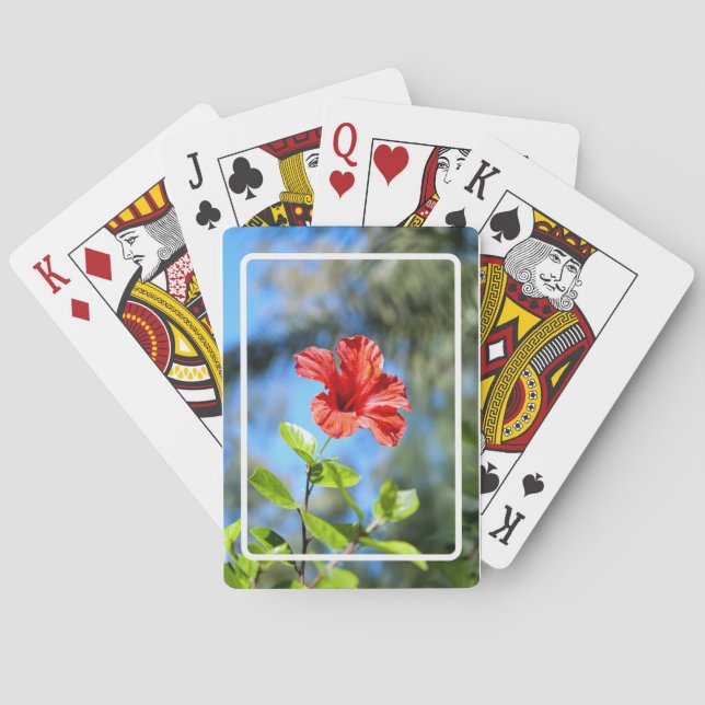 Jeu De Cartes Hibiscus rouge (dos)