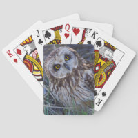 Hibou à oreilles courtes