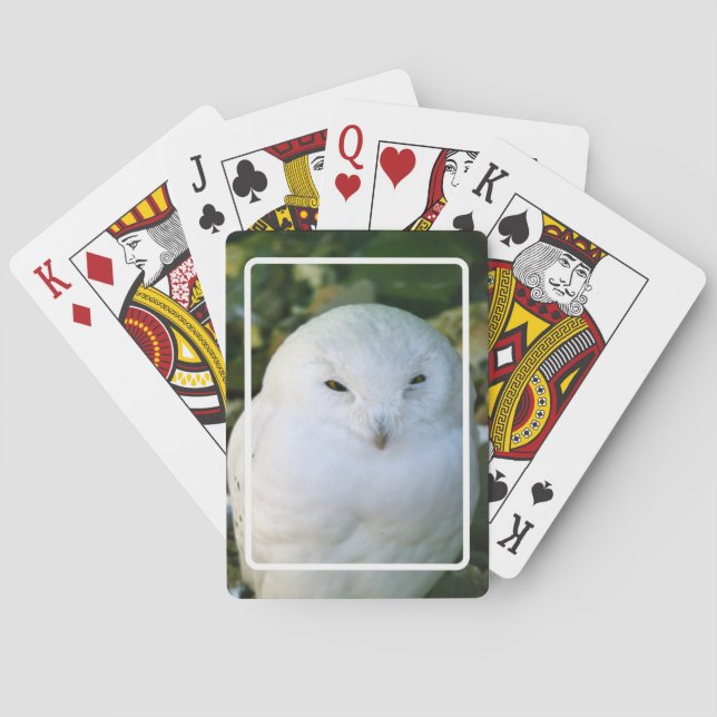 Jeu De Cartes Hibou des neiges (dos)